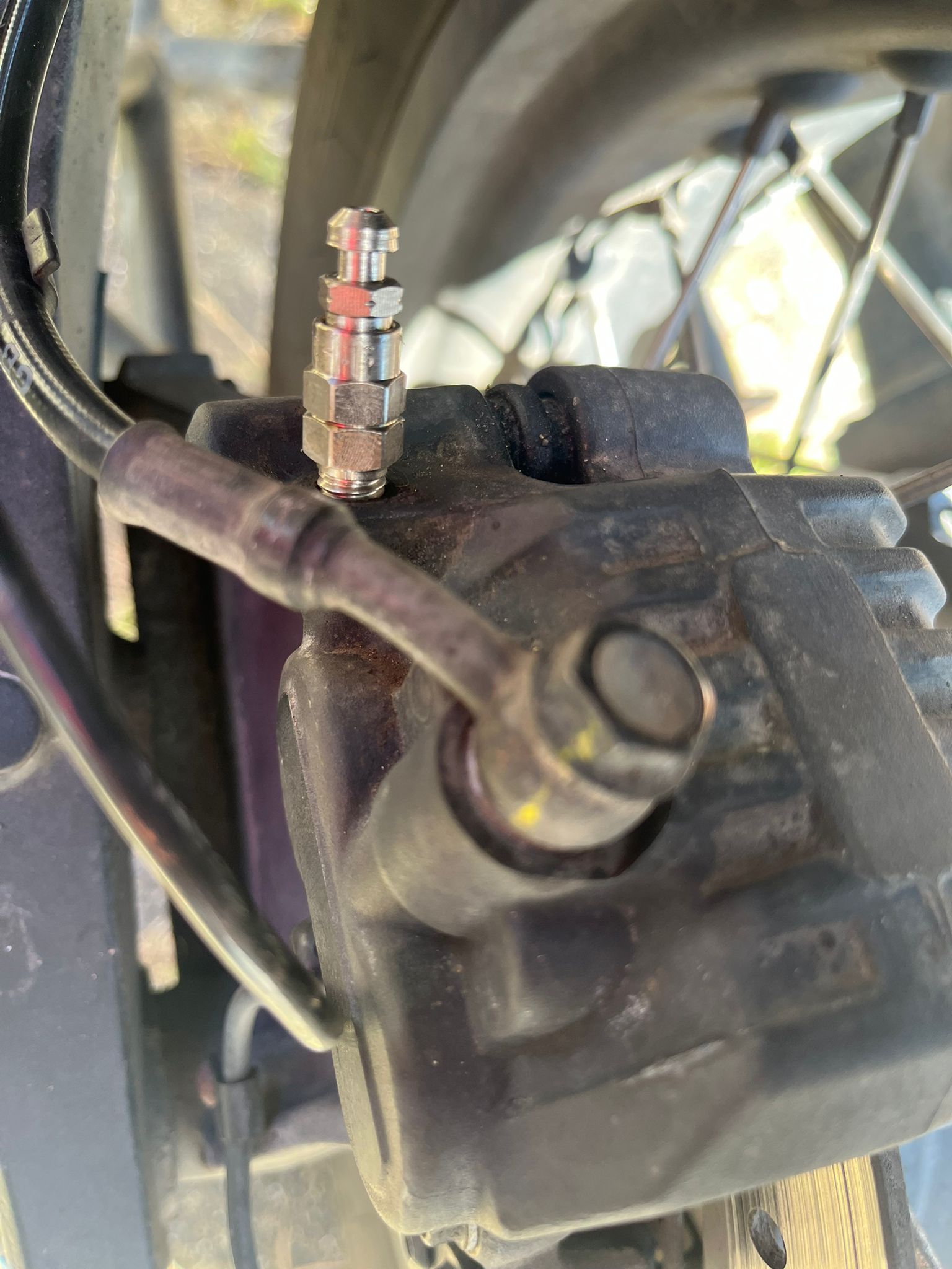 the rear brake caliper